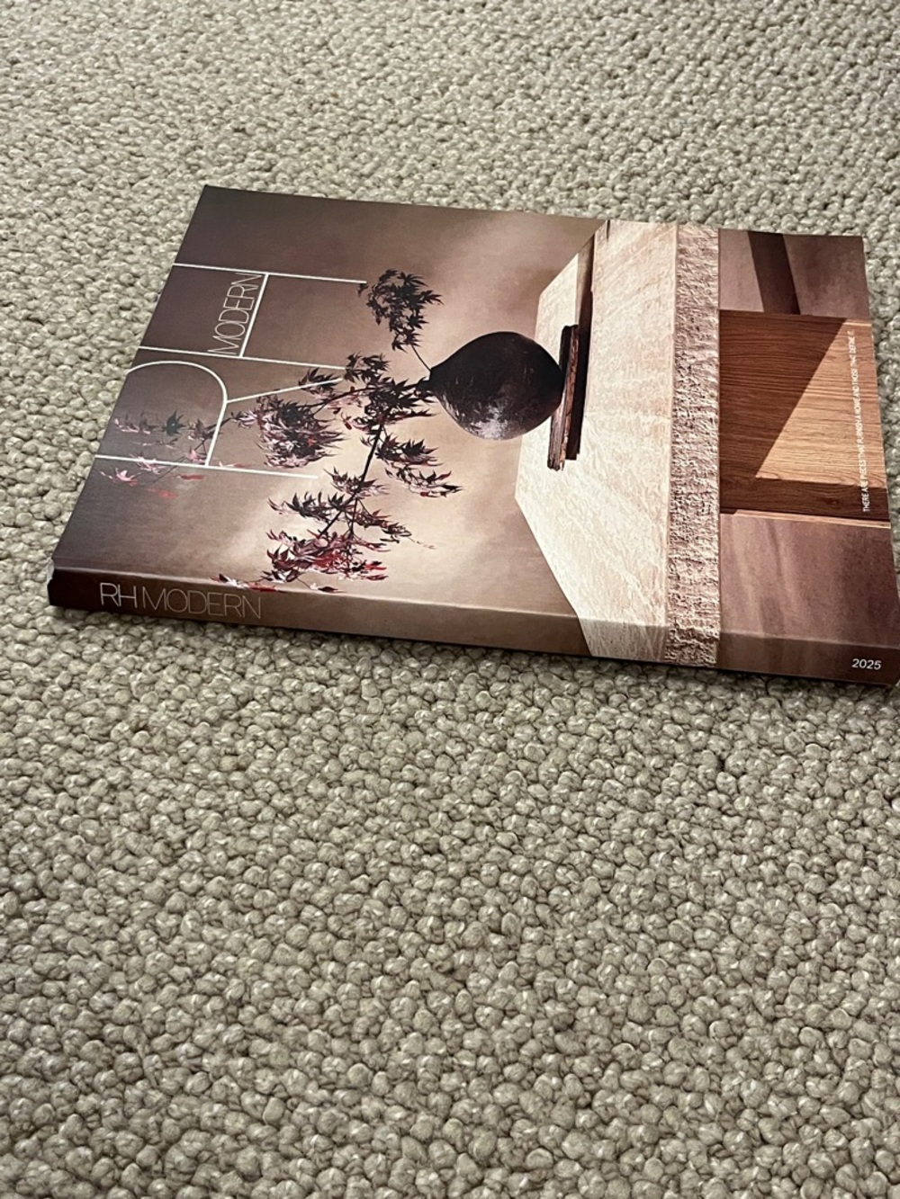 RH Restoration Hardware "Modern" Catalog - Like a Home Décor Coffee Table Book - Picture 4 of 13